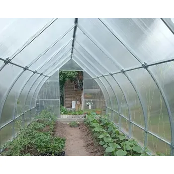 Отзыв о нашей теплицe от Геннадий Климов